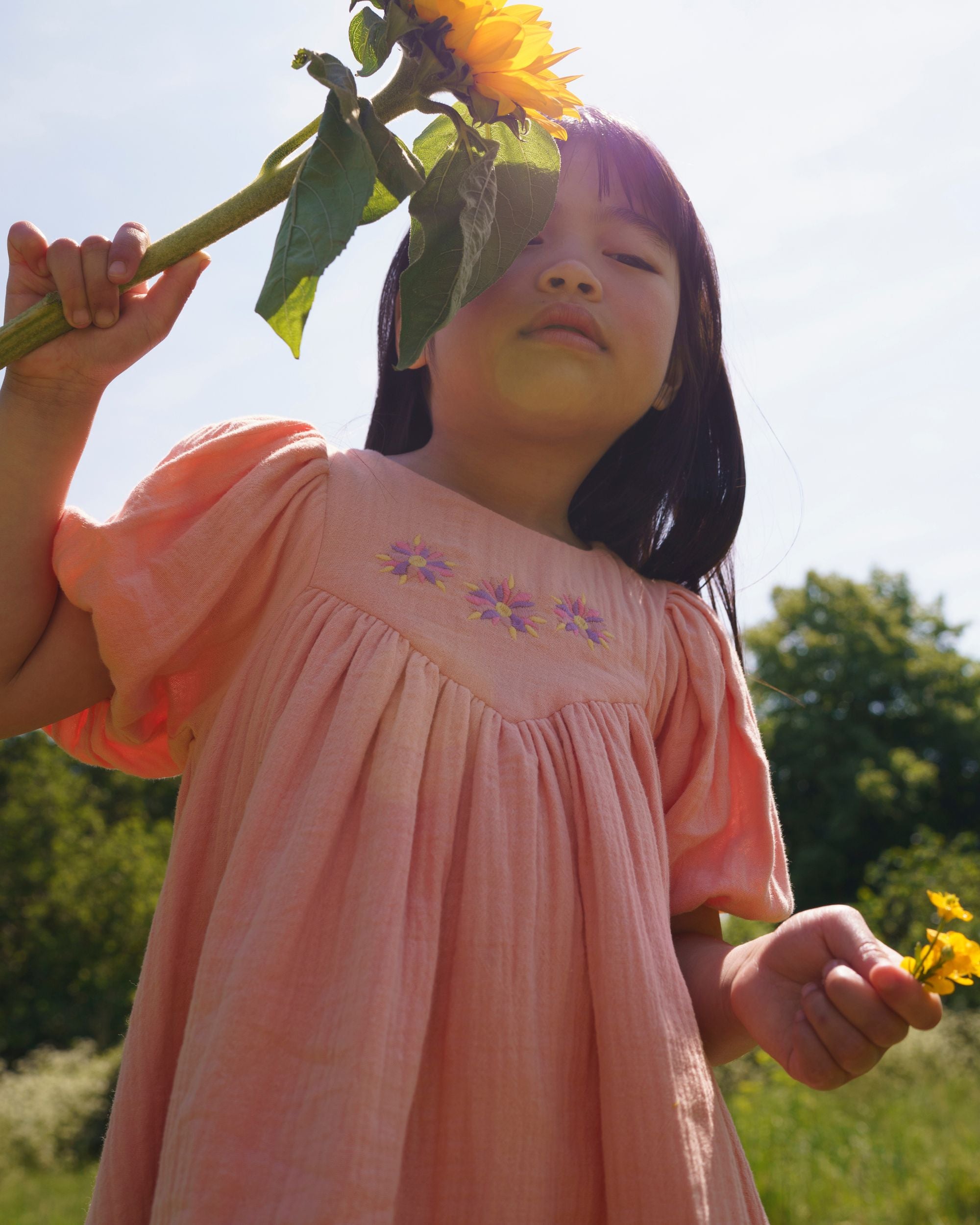 Beth Dress - Candy Floss
